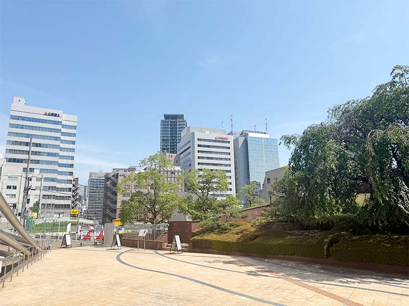 中之島から土佐堀方面の景色